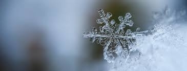 Contre le froid