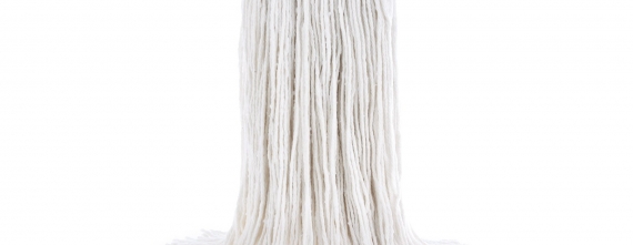 Vadrouille et tête de moppe