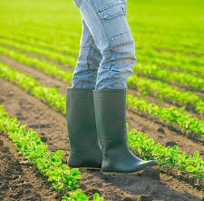 Bottes imperméables