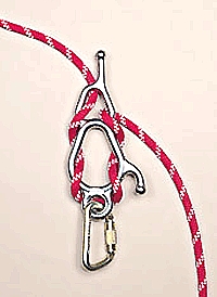 Fisk descendeur